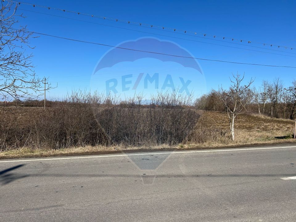 Land 11,502sqm Salonta / Strada Sarcadului