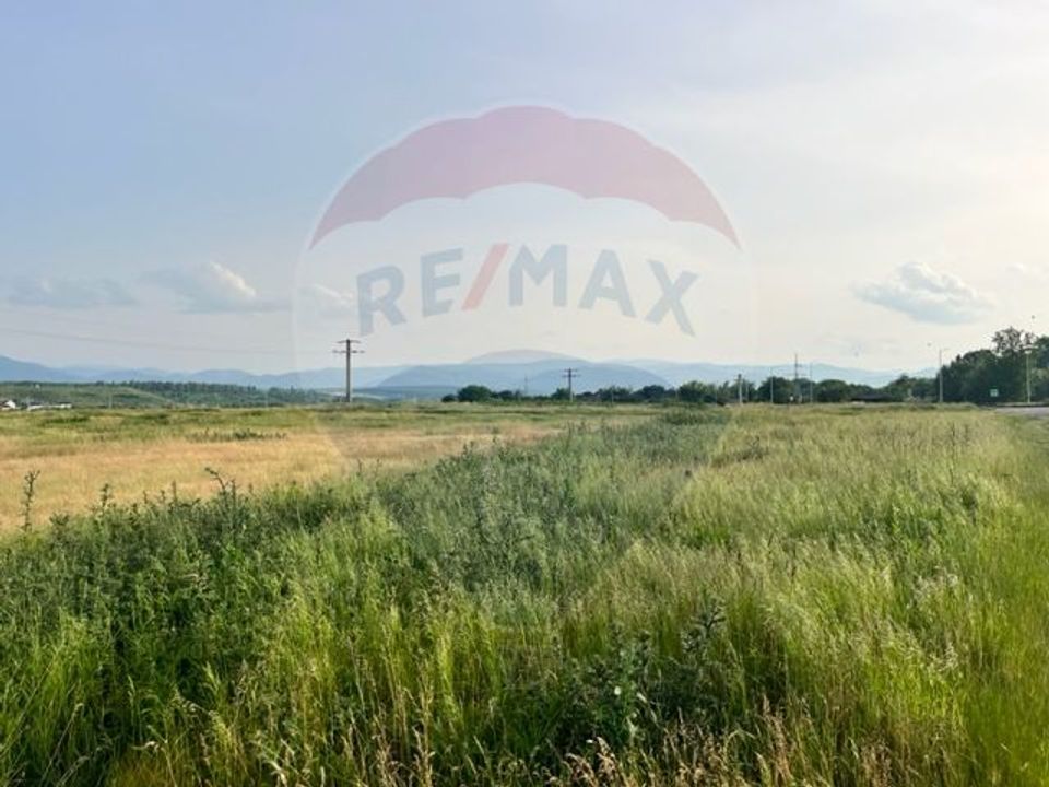 Land 2,000sqm Sibiu / Strada Rozmarinului