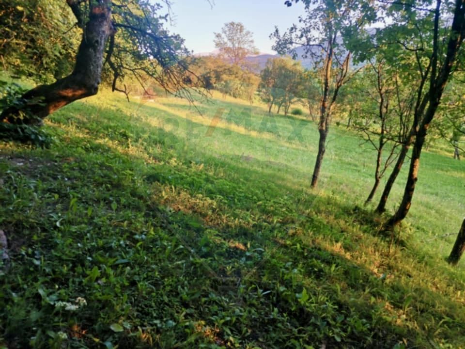 Land 6,900sqm Breb / Drumul secundar