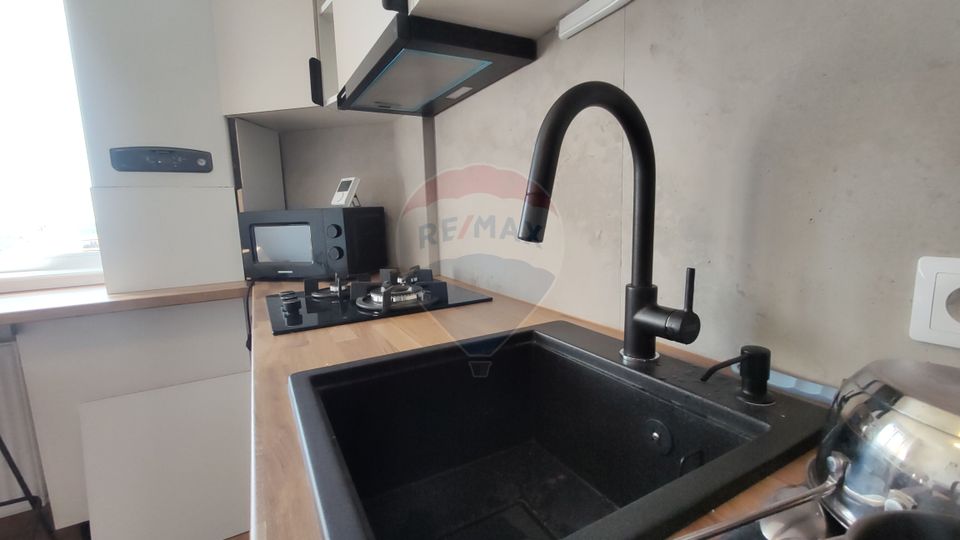 1 room Apartment for rent