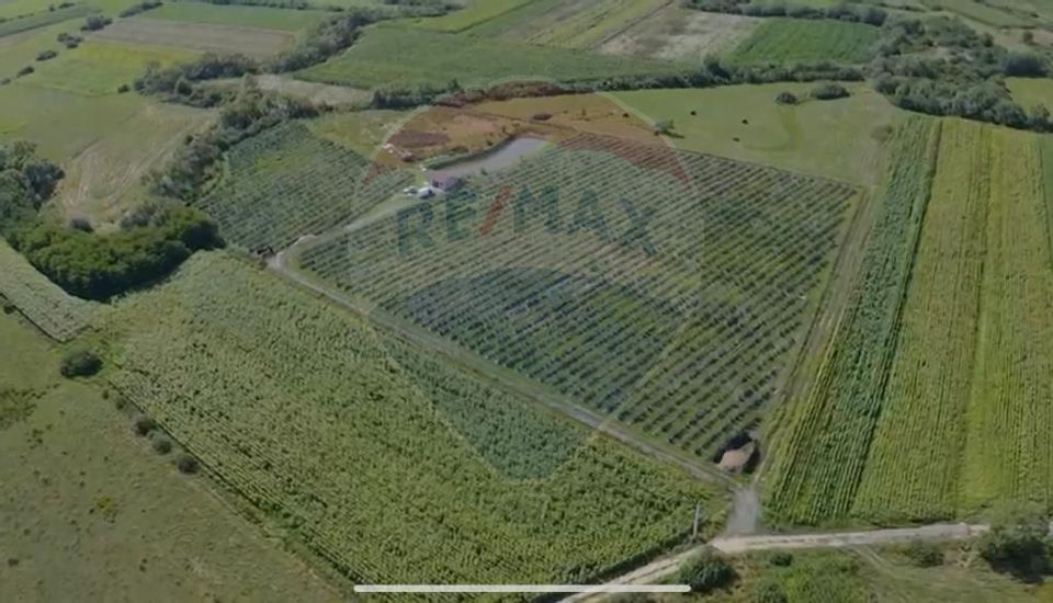 Land 29,656sqm Bozanta Mica / Strada Deva