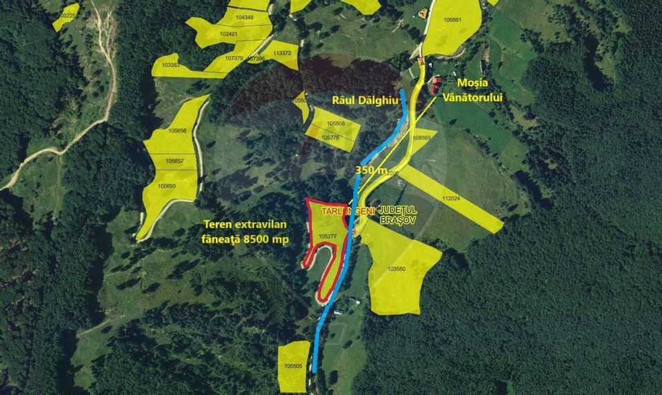 Teren 8500 mp, Valea Dălghiului - Dălghiu - vedere către Ciucaș