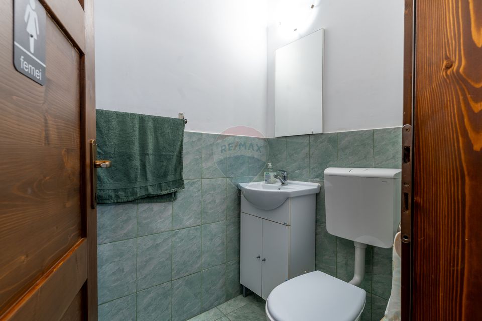 Cabana cu 7 camere de vânzare, 387 mp util, 1300 mp teren!