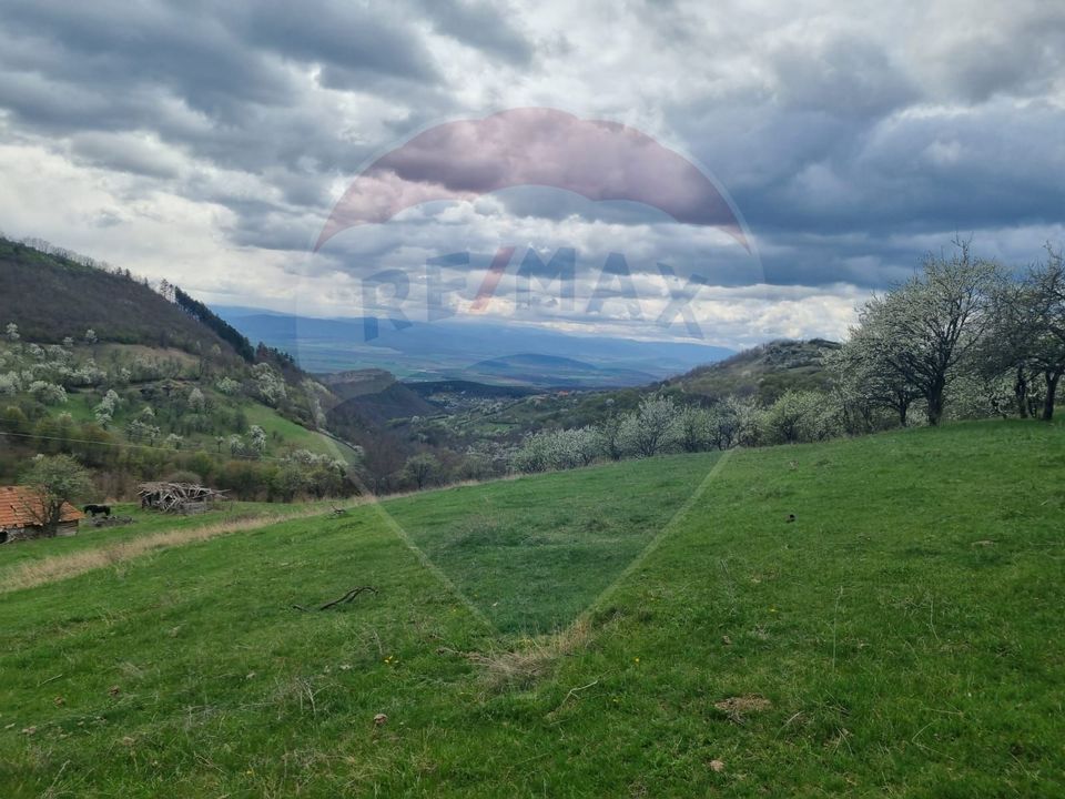 Land 23,600sqm Inuri / DJ 705C