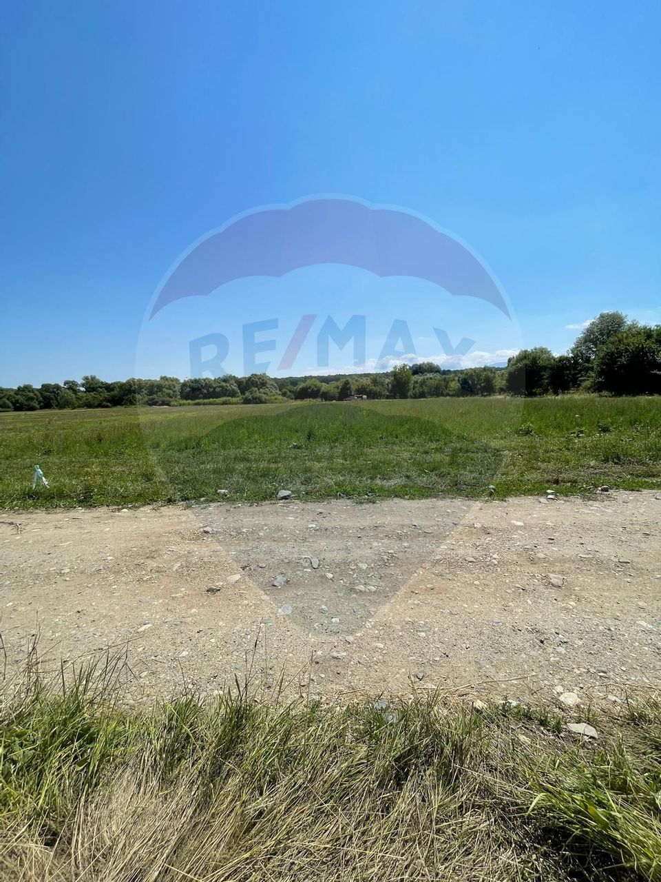 TEREN  INTRAVILAN  5000mp ORAS CISNADIE  STR. SELIMBARULUI