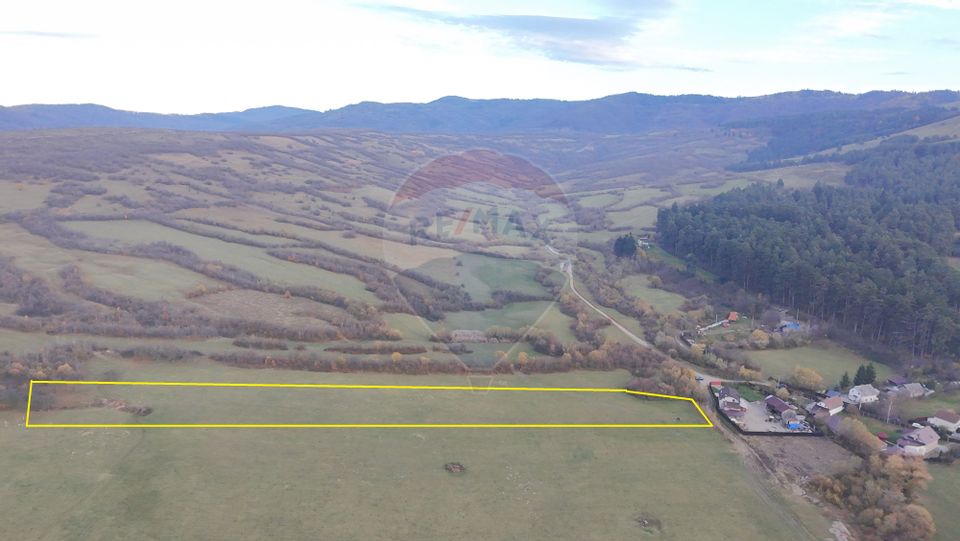 Teren 5.800 mp Purcareni curent, gaz, apă / Strada 30 decembrie