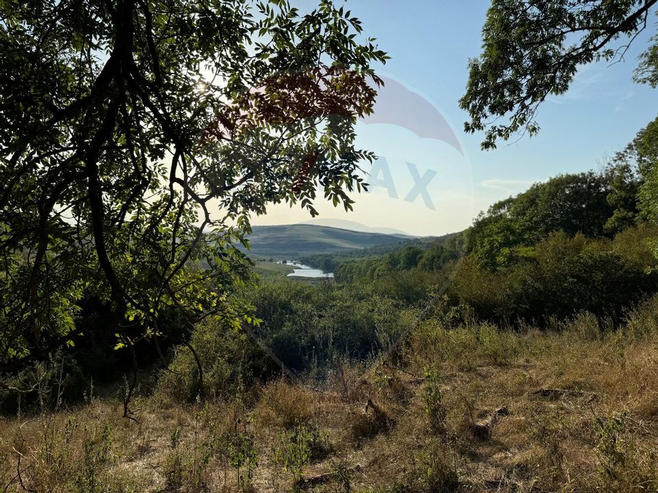 Land 50,000sqm Caianu-Vama / Strada Principala