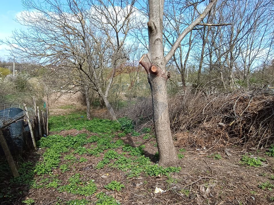 Teren  intravilan 867mp Moara Vlasiei / Soseaua Eroilor