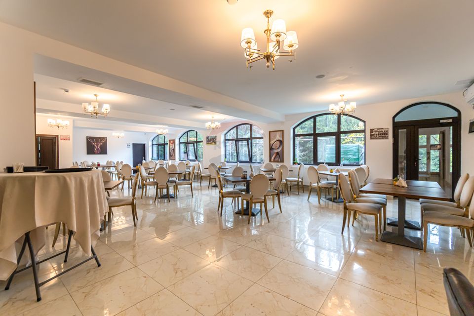 HOTEL "CERBUL CHALET" de vânzare/ zona Râsnov-Pârâul Rece