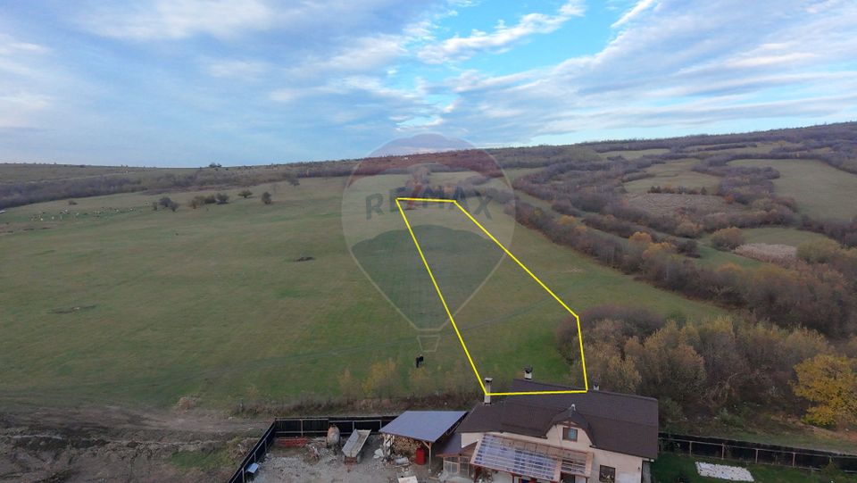 Teren 5.800 mp Purcareni curent, gaz, apă / Strada 30 decembrie