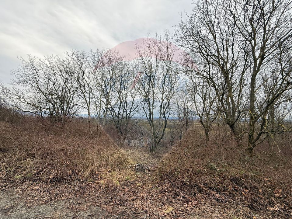 DE VANZARE Teren Strada Victoriei Baia Mare