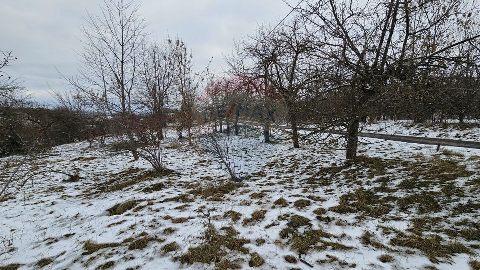 Teren 10,000mp Rădășeni / Șoseaua DN2-E85, județul Suceava