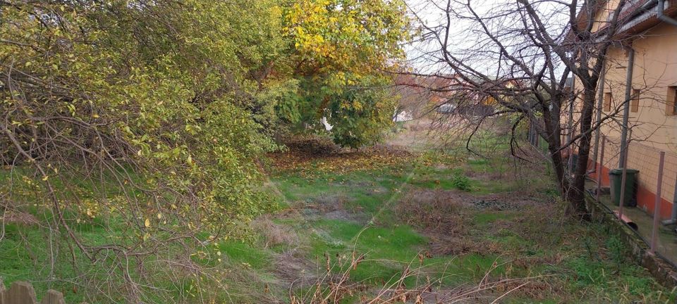 Land 800sqm Simnicu de Sus / None