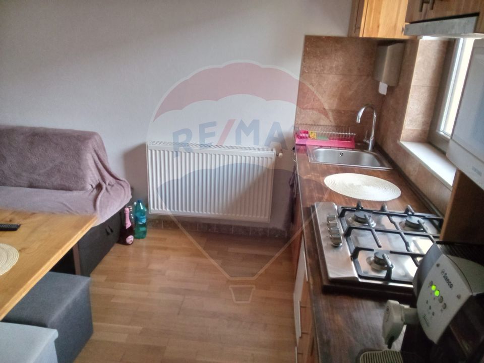 8 room House / Villa for sale, Sud-Vest area