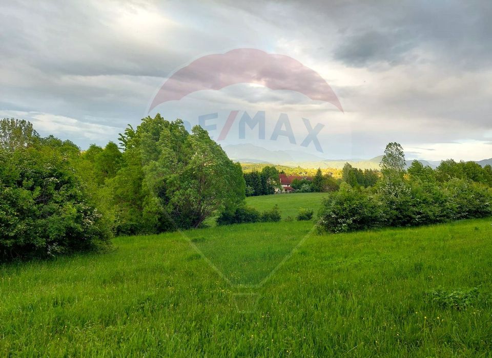 Land 4,223sqm Zarnesti / Strada Tohanita