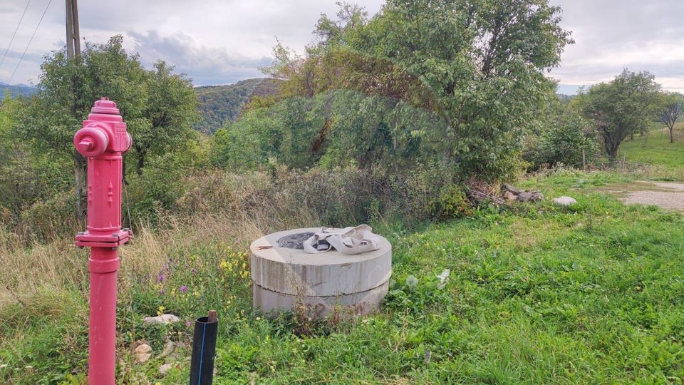 Teren intravilan constructii 3082 mp Damis Bratca drum DJ 764D