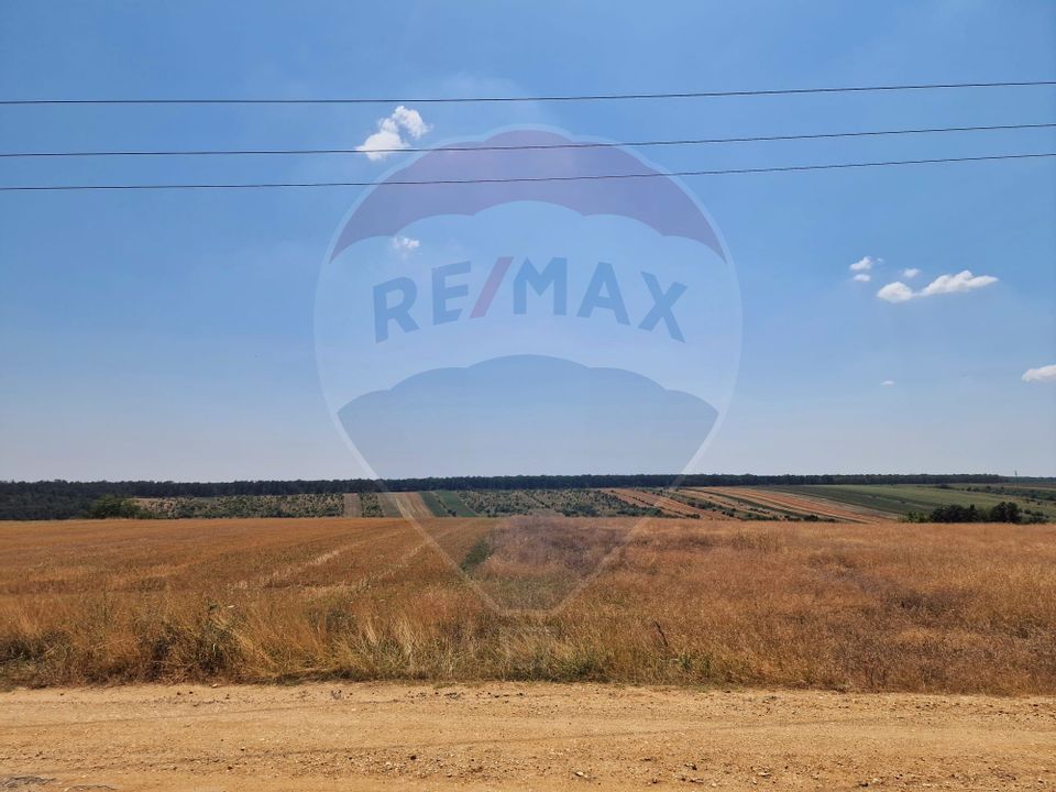 Land 3,700sqm Palilula / None