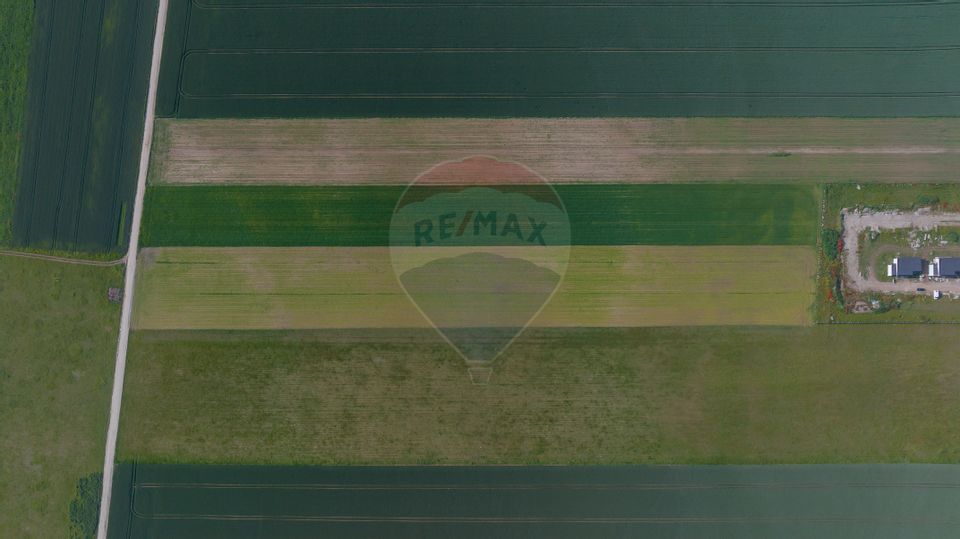 Teren 42,000mp Tarlungeni / Strada Izvor