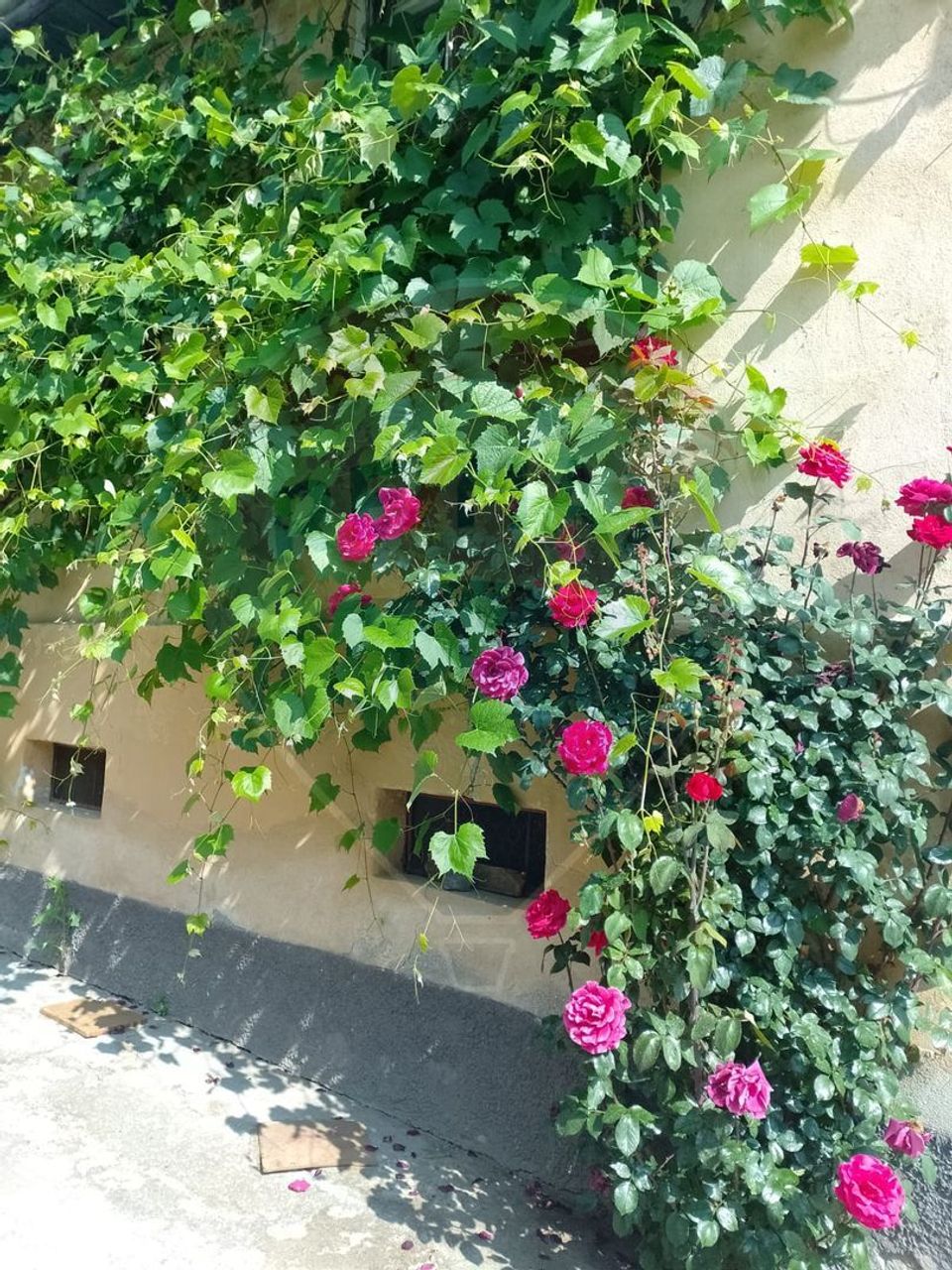 Casa cu 4 camere si gradina, Dacia 70 km de Brasov!