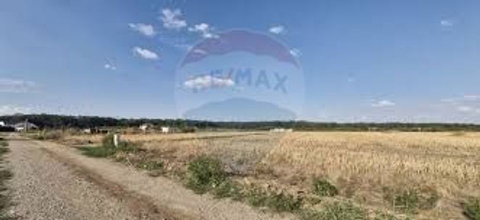 Teren intravilan 3,261mp Balotesti / Strada Rozelor