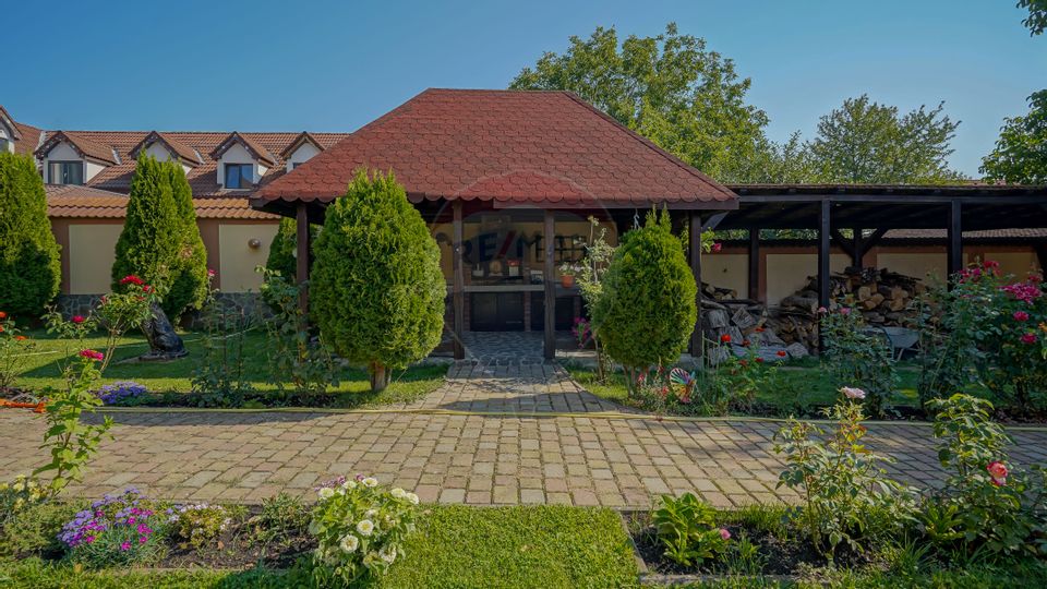 Elegant house, wine cellar, view of the mountains and peak. Postăvaru