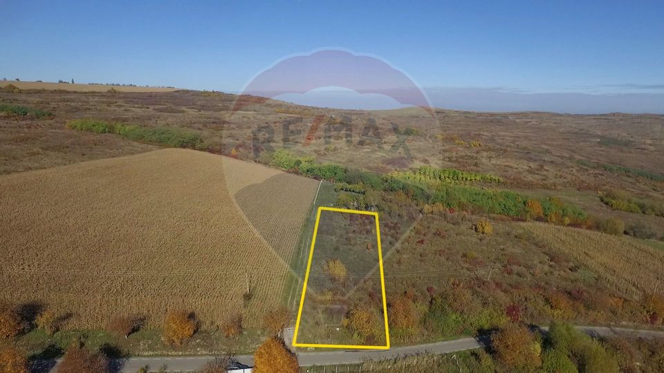 Land 2,556sqm Padureni (Chinteni) / Drumul DC147