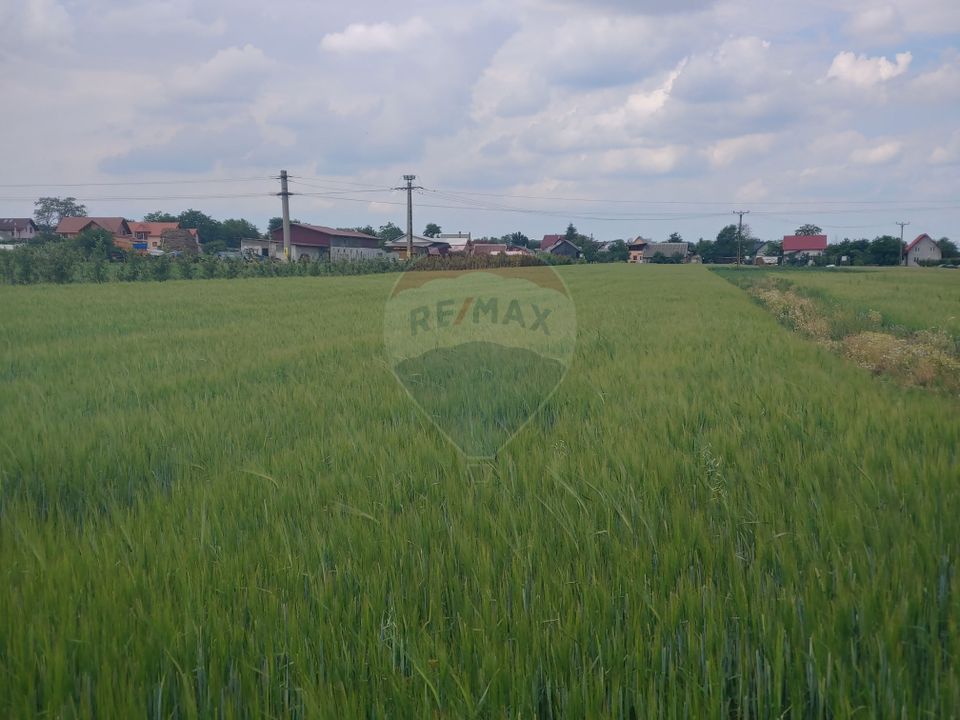 Teren intravilan 6,600mp Dumbraveni / Strada Principala spre Veresti