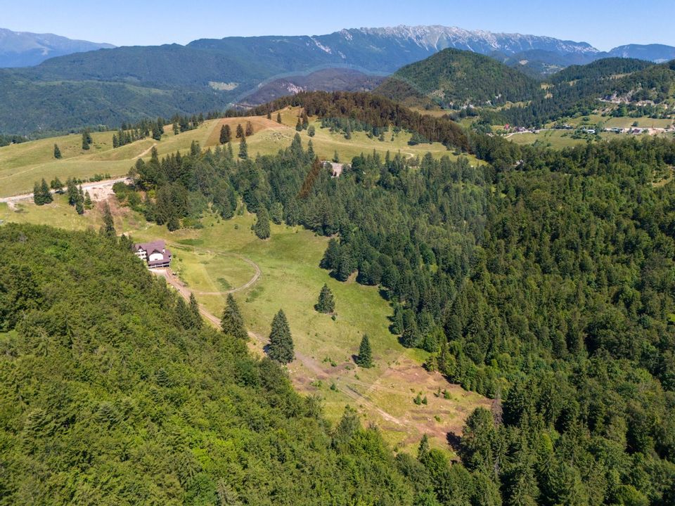 Teren intravilan, 6000mp Dambovicioara / DN 73- dealul sasului!