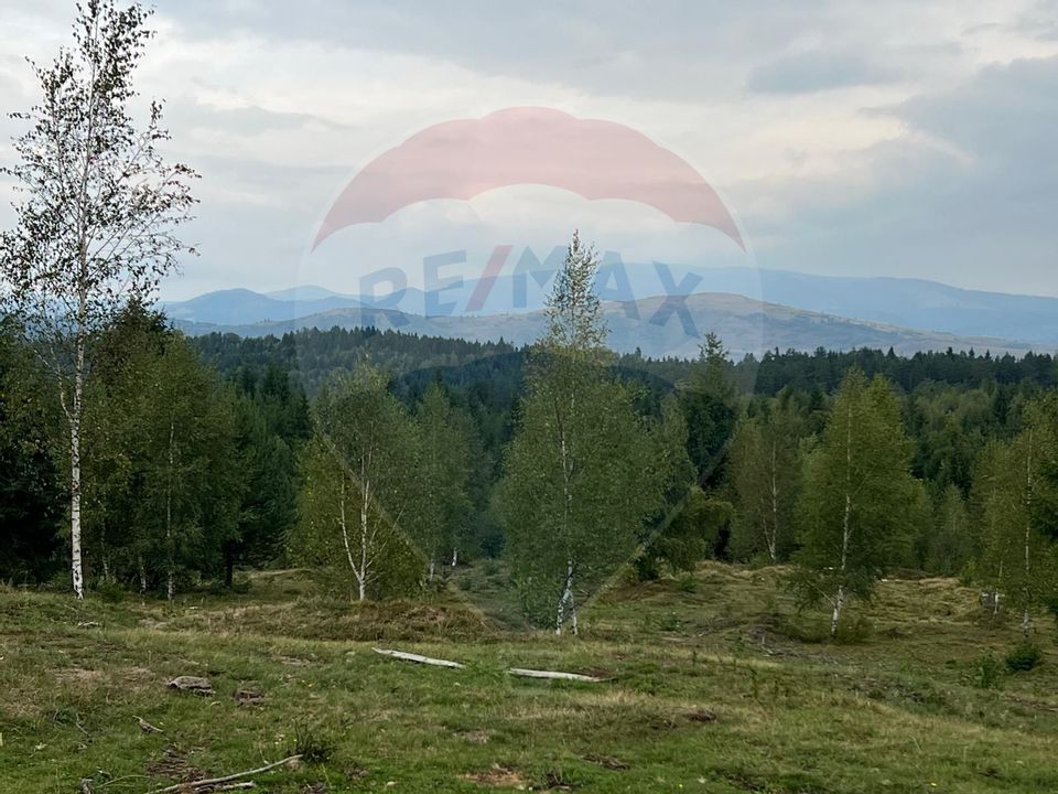 Teren extravilan parcelabil Călățele Pădure, zona Dealu Negru