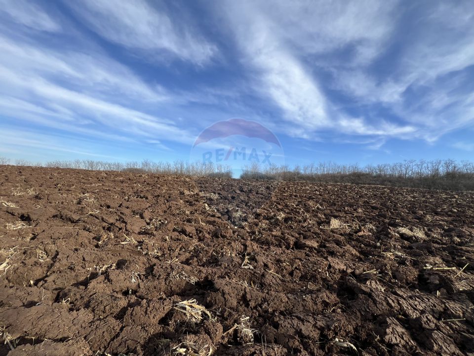 Land 10,000sqm Badeni / Strada Mică