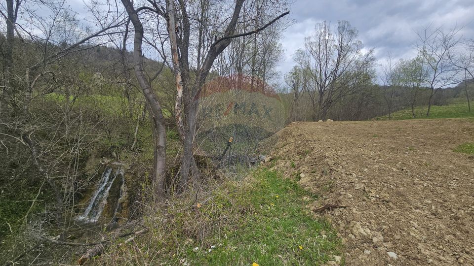 Land 2,910sqm Chiriteni / DN 15