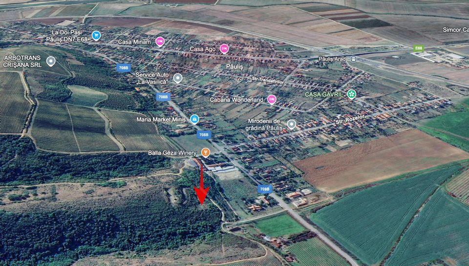 Land 13,412sqm Paulis / Strada Principala