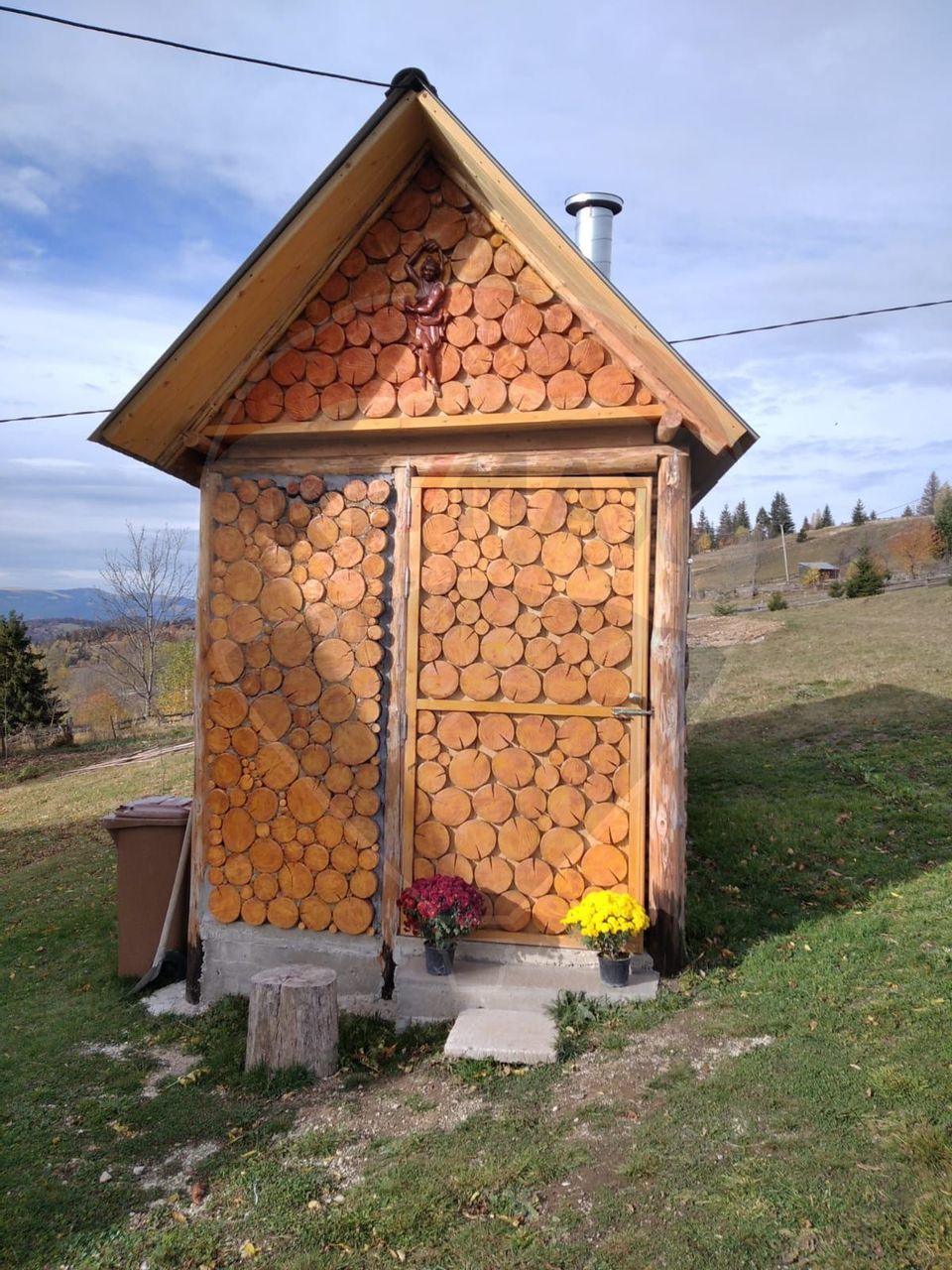 Vanzare 2 cabane de agroturism la 15km de Pestera Scarisoara