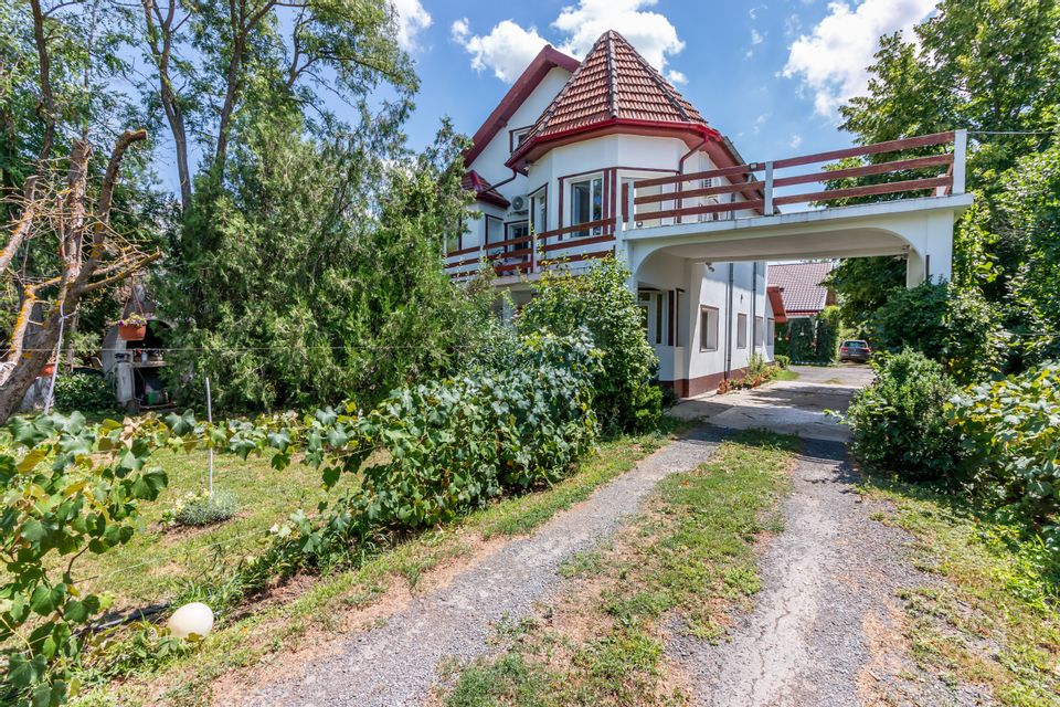 Casa+Laborator+ Teren 12.700 mp + casa de vacanta - Bolintin Vale