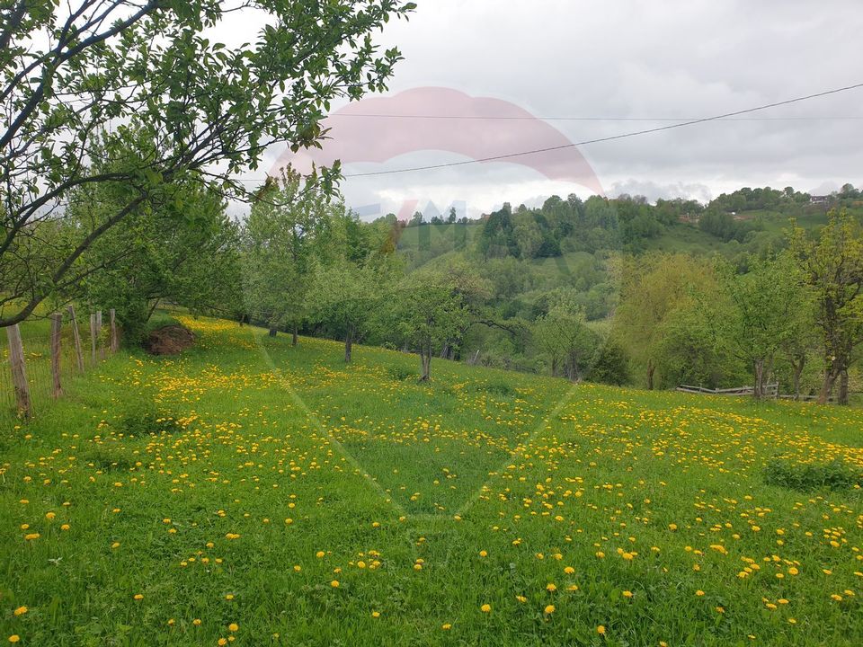 COMISION 0% | Teren 2,000mp Bran | Strada Clincea |