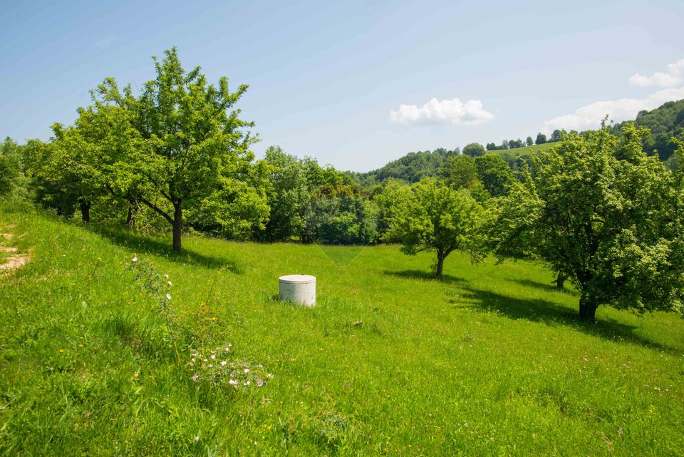 Land for sale 10990sqm Bran Sohodol, great view, utilities