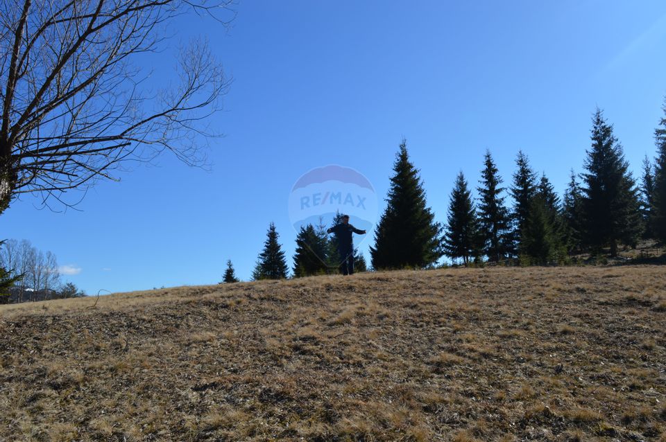 Land 8,700sqm Saru Dornei / None