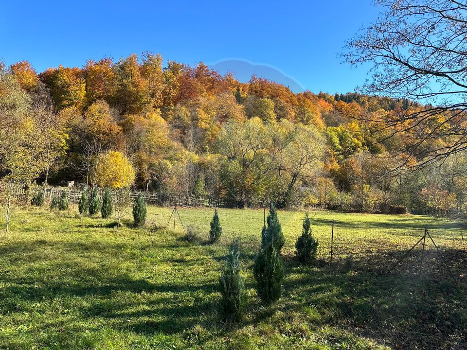 Land 1,350sqm Garcina / Strada Cuejdiului