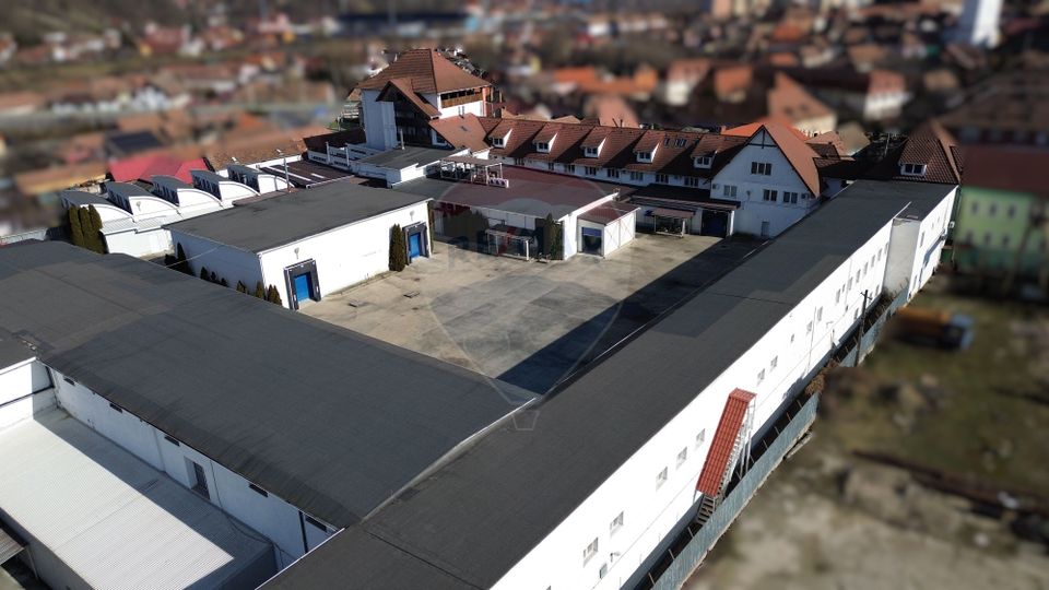 Fabrica de preparate si conserve din carne  la Medias