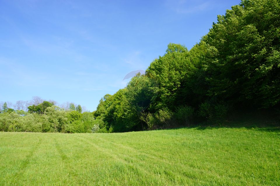 Teren 33,137mp Sighetu Marmatiei / Strada Mocăniței