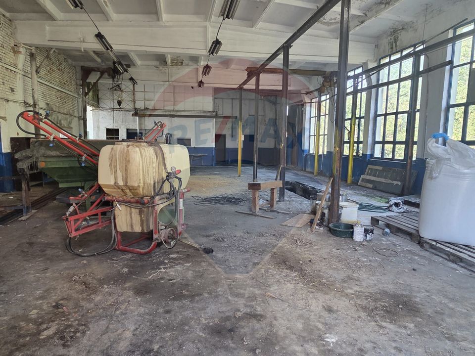 Spațiu industrial 15435 mp. de vânzare in Tinca.
