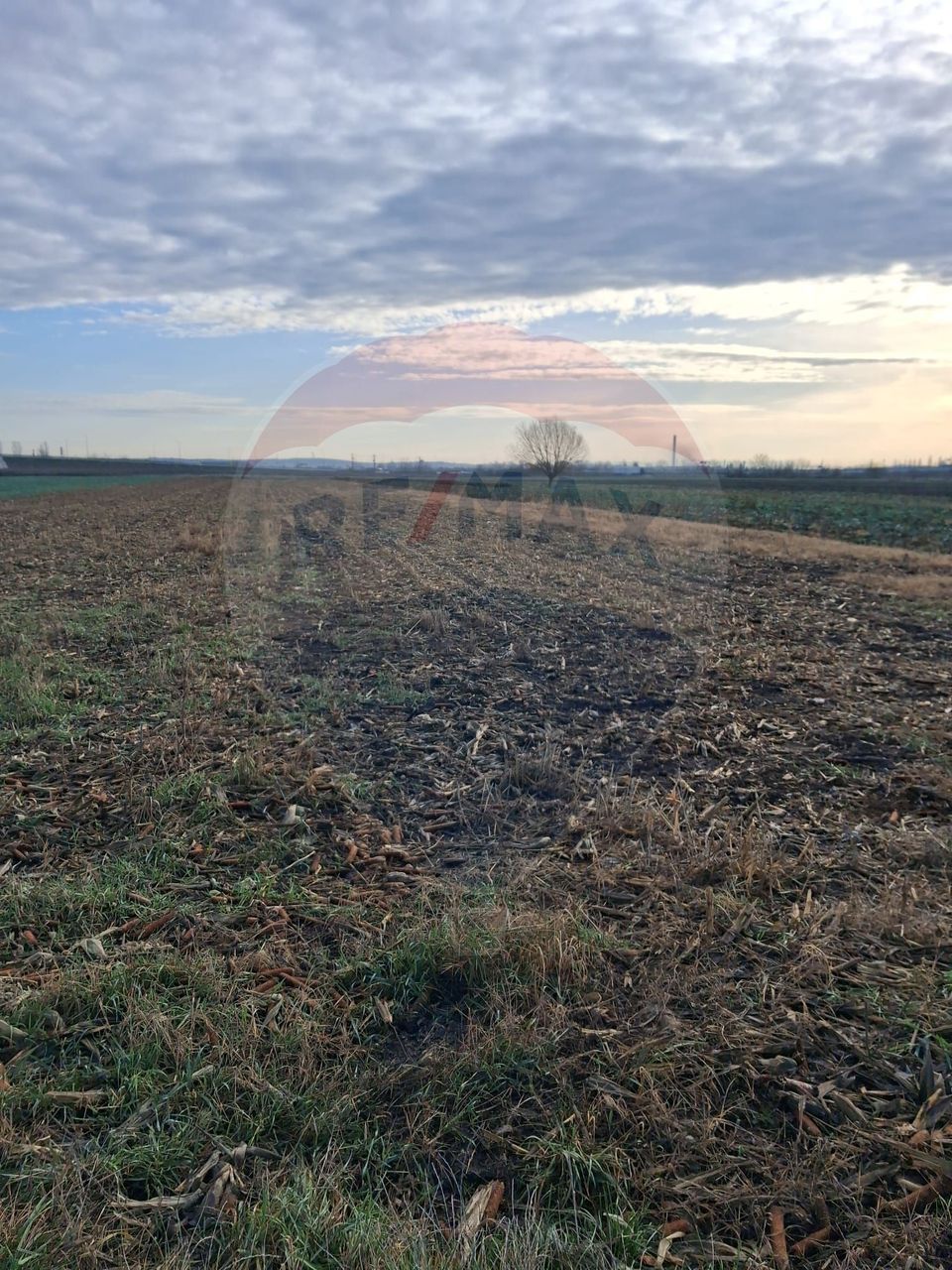 Teren intravilan 3400mp de vânzare la Sântion