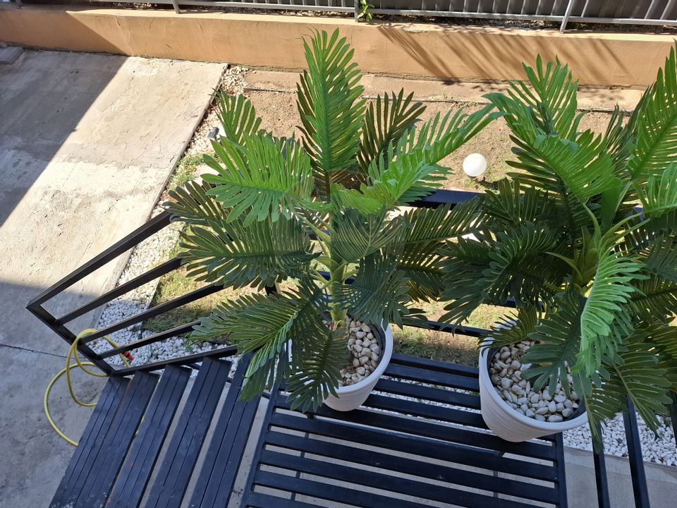 Apartament cu 3 camere  cu loc de parcare si curte proprie -de vânzare