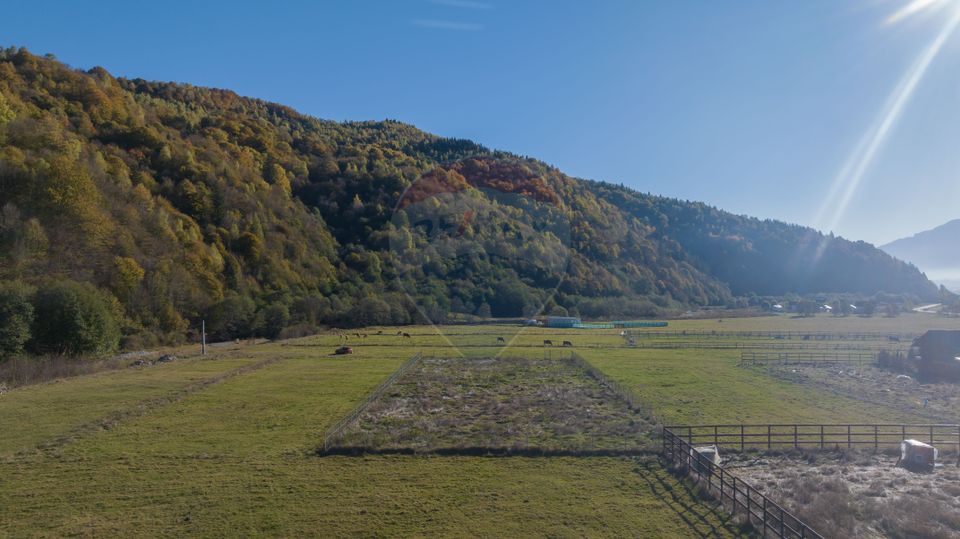 Teren cu priveliște de vis și curent trifazic – Plaiul Foii