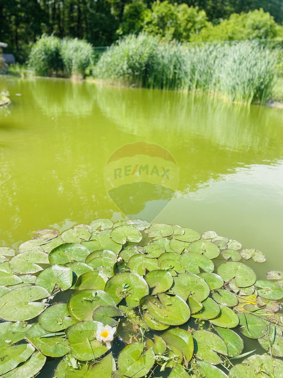 4 room House / Villa for sale