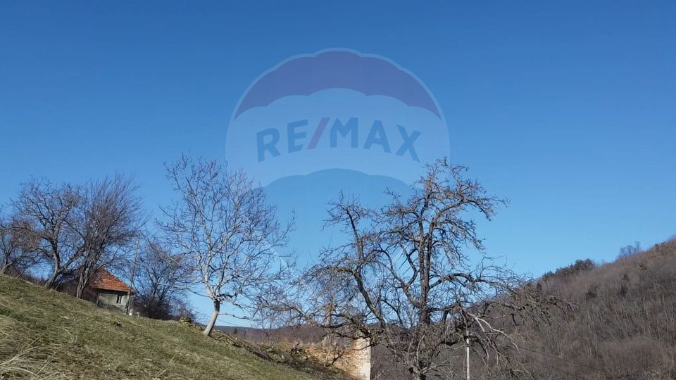 Land 23,600sqm Inuri / DJ 705C