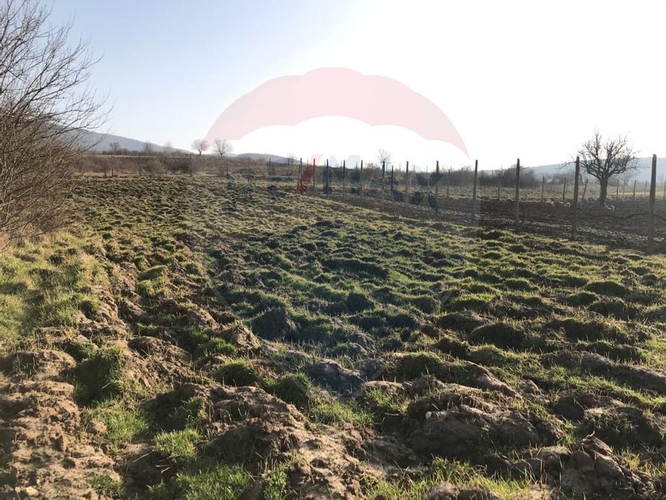 Land 3,659sqm Covasint / Strada Liliacului