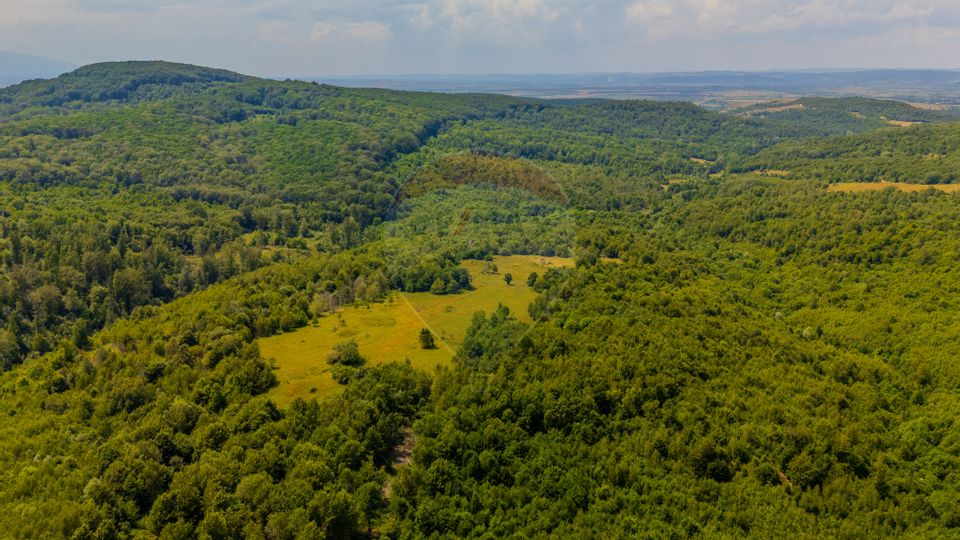 COMISION 0% Teren Grid/Inima Naturii/ Oportunitate de investiție