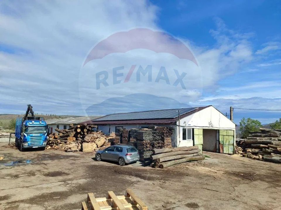 Hala-depozit de vanzare-800 mp-Sic- Investitie