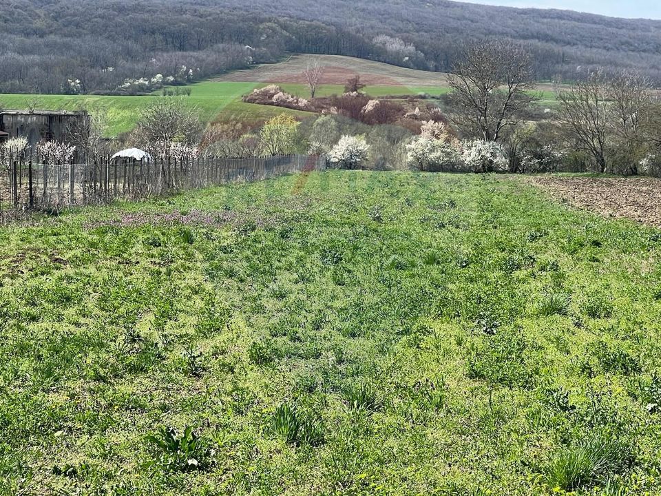 Land 4,486sqm Iordacheanu / Strada Principala